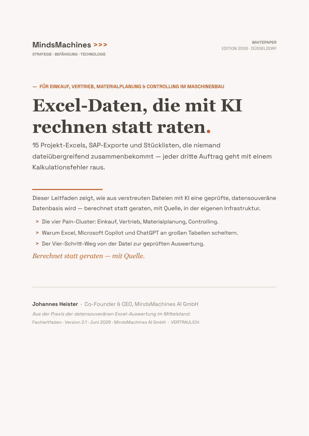 Cover Excel-Daten, die mit KI rechnen statt raten.